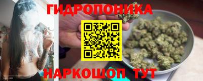 трава Ирбит